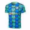 Thailandia Maglietta Calcio Formazione FC Barcellona 2024 2025 Verde Blu