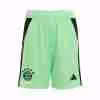 Thailandia Pantaloni Bayern Monaco Portiere 2025 2026 Verde