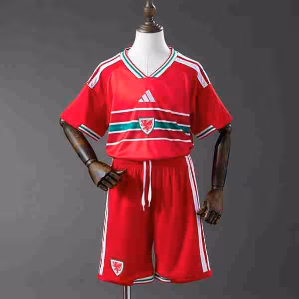 Camiseta Gales 1ª Niño 2026 Maglietta Calcio Gales Prima Set Bambino 2026