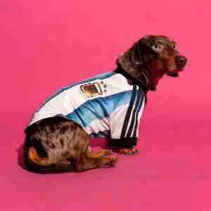 Maglietta Calcio Argentina Animale Domestico 2026
