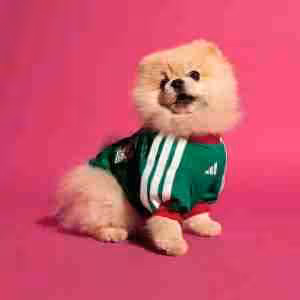 Maglietta Calcio Messico Animale Domestico 2026