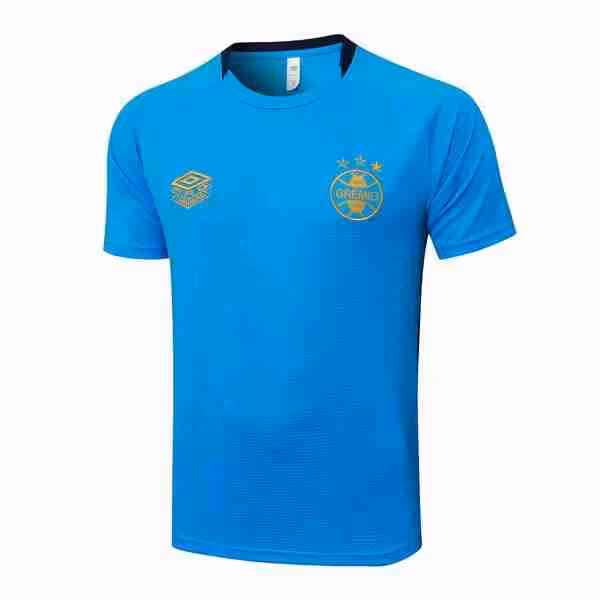 Camiseta Entrenamiento Grêmio FBPA 2025-2026 Azul 4 Thailandia Maglietta Calcio Formazione Gremio FBPA 2025 26 Blu